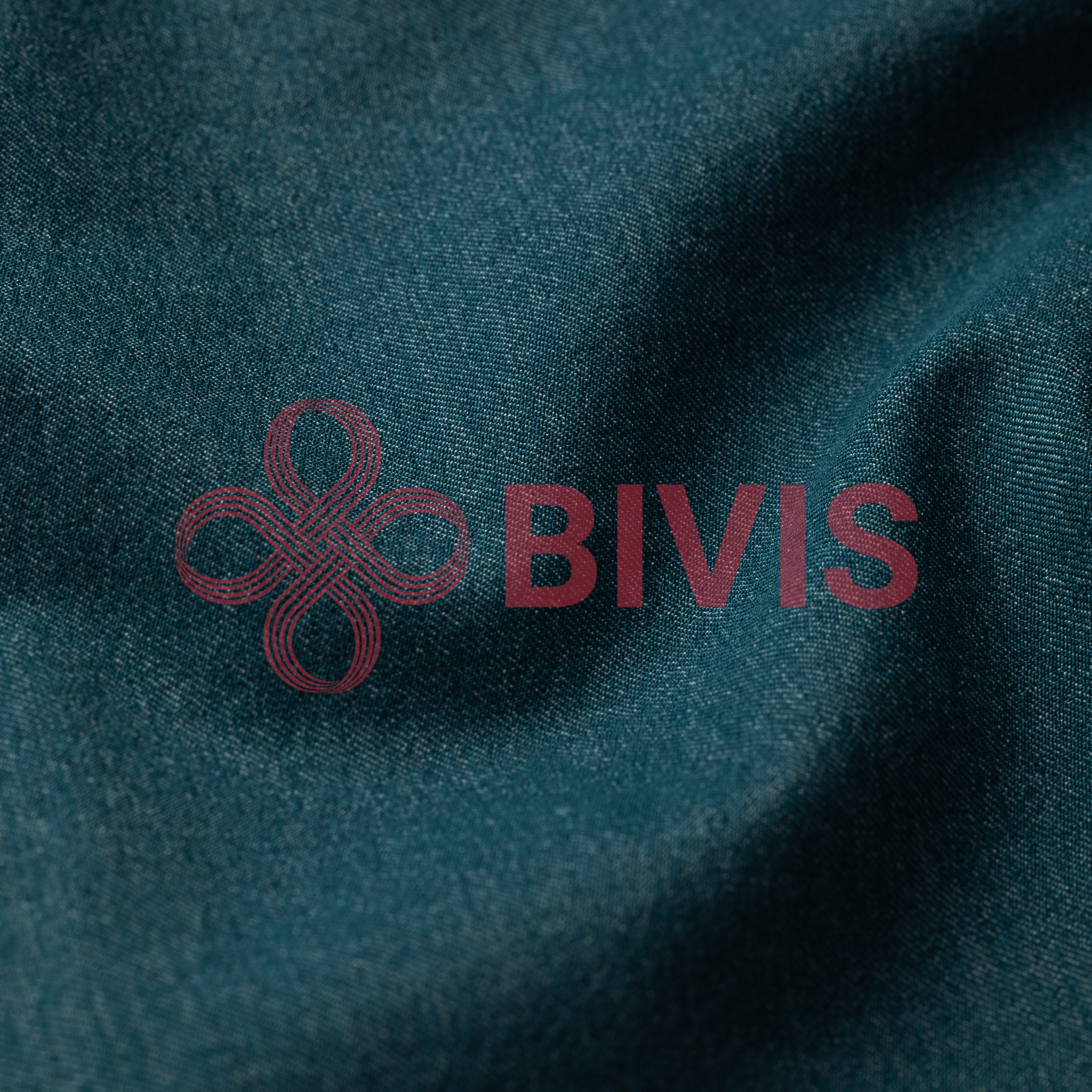 BV-NTW0016